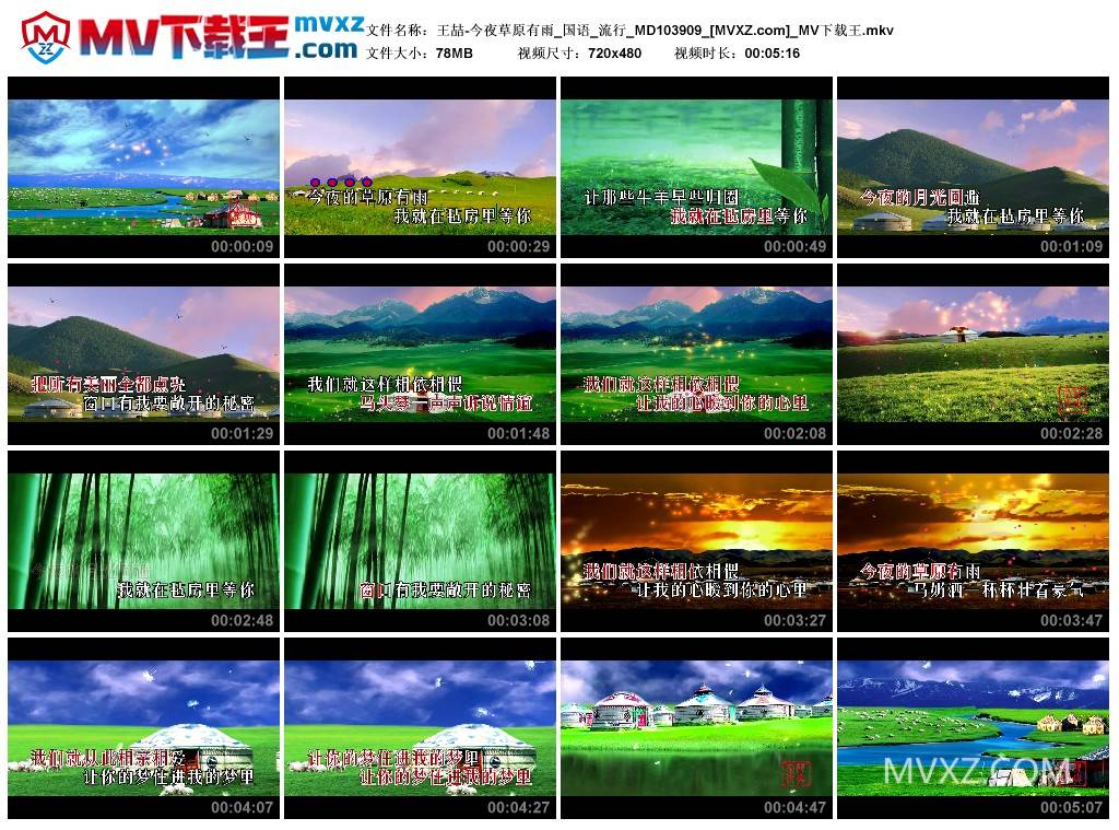 王喆-今夜草原有雨_国语_流行_MD103909